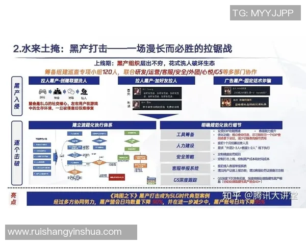 南京排球队的运营体系与战术创新探索之路